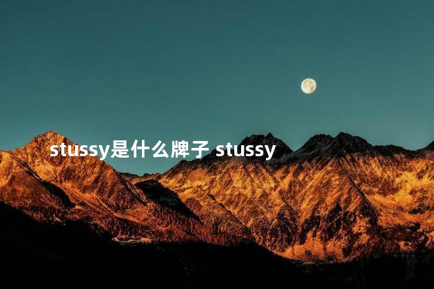 stussy是什么牌子 stussy牌子好吗